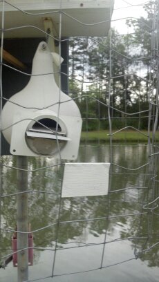4 x 4 inch entrance through the wire with a white piece of aluminum at the bottom.