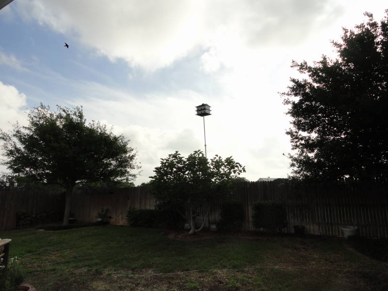 Taken by LeslieN Cedar Park Tx