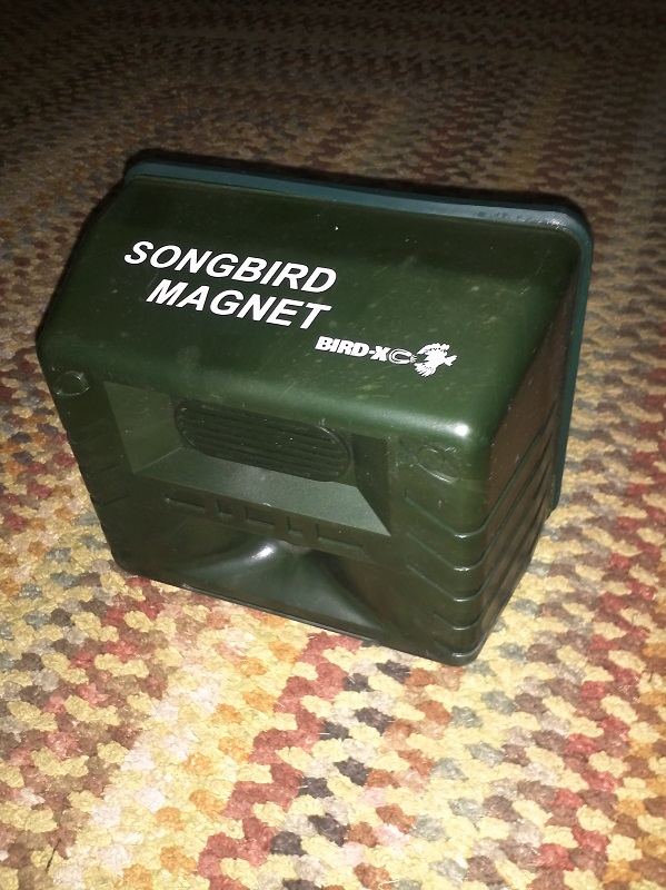 My Songbird Magnet photo taken today.