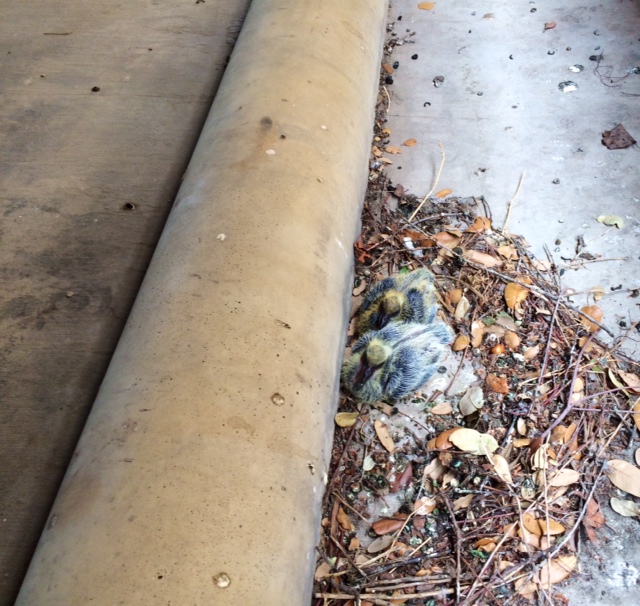 on ground next to concrete bumper