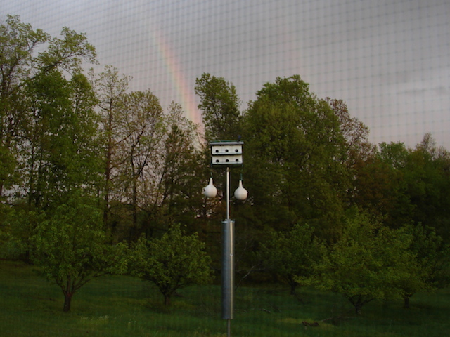 Taken by K.Smith on Tues 4/21/15 in Western KY.