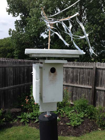My bluebird house with spooker and cooler heat shields for Texas summers.