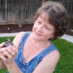Baby bird found in my back yard