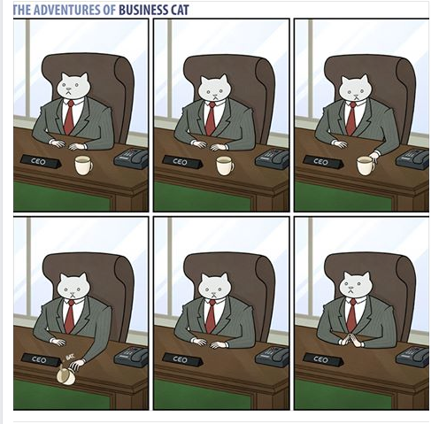Business cat.png