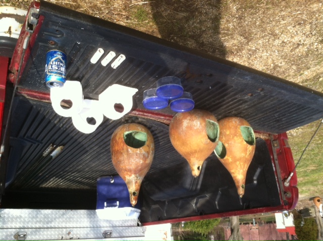 2016gourds.JPG