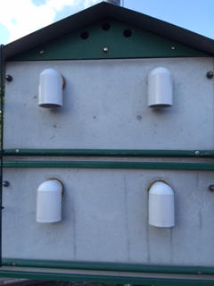 PVC Elbow Vents.JPG