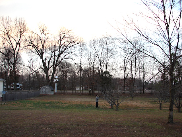 road-view2.JPG