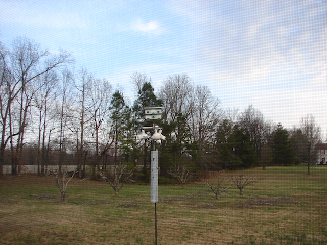window-view.JPG