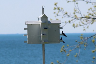 IMG_2964.jpg