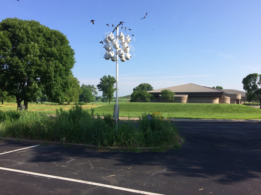 Cahokia July 7, 2019 013 small.jpg