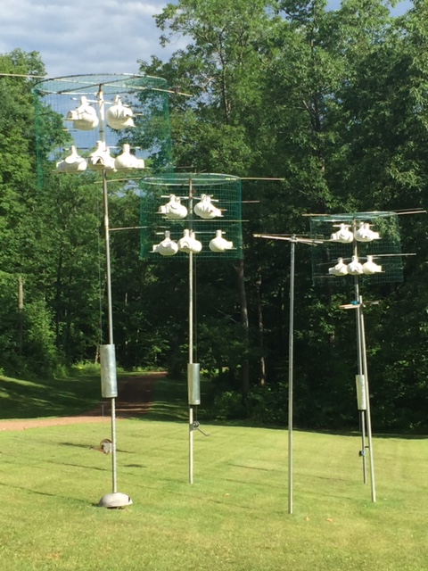 gourd racks.JPG