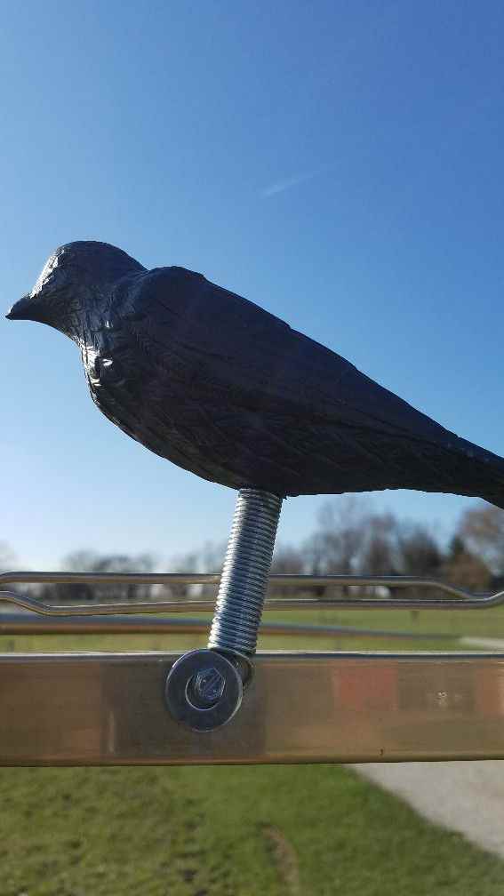 Martin Decoy.jpg