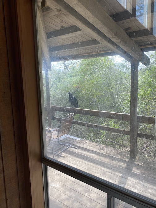 Buzzard Porch.jpg