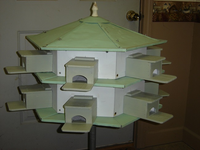 DSC02664.JPG
