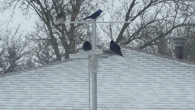 Snow on the roof.jpg