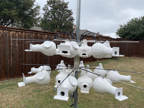 gourds2021A.jpg