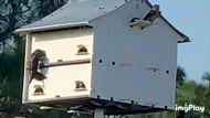 EE2CCAEB-E42E-4CFE-AD2B-4E1F638E4CE4.gif