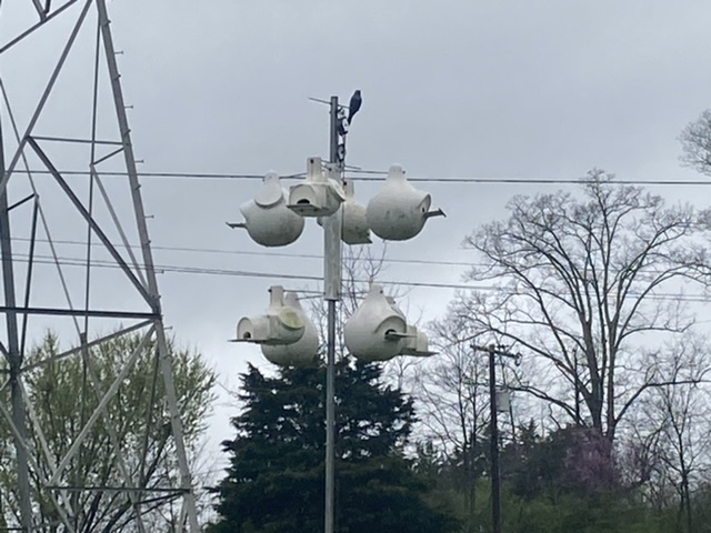 42600930-0D5D-4307-957A-4744656582D5.jpeg