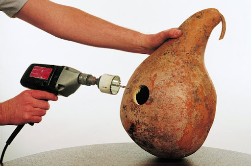bottle neck gourds.jpeg