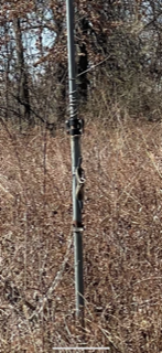 IMG_3615 (1).PNG