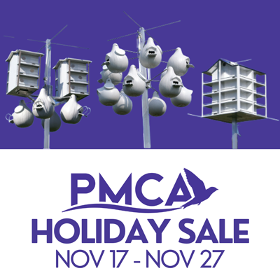 sale.png