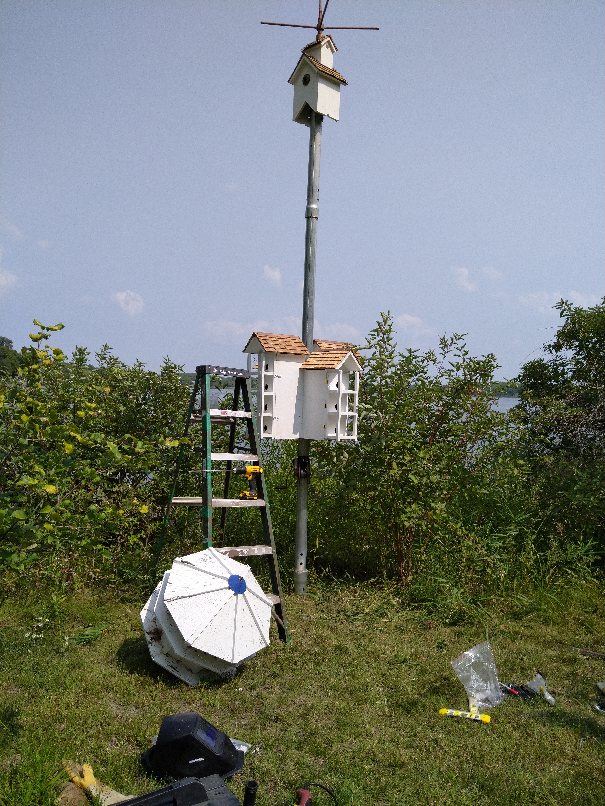 Raising new house