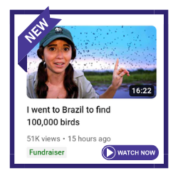 maya video.png