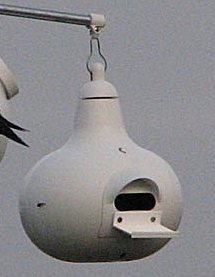 Gourd with oblong hole 1.jpg