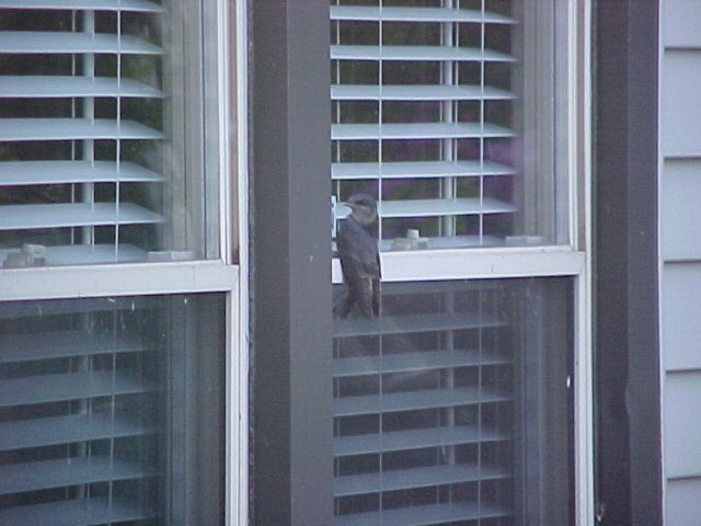 Baby Martin on screen.JPG