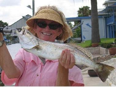 Speckled Sea Trout.JPG