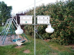 Purple Martin House 004.jpg