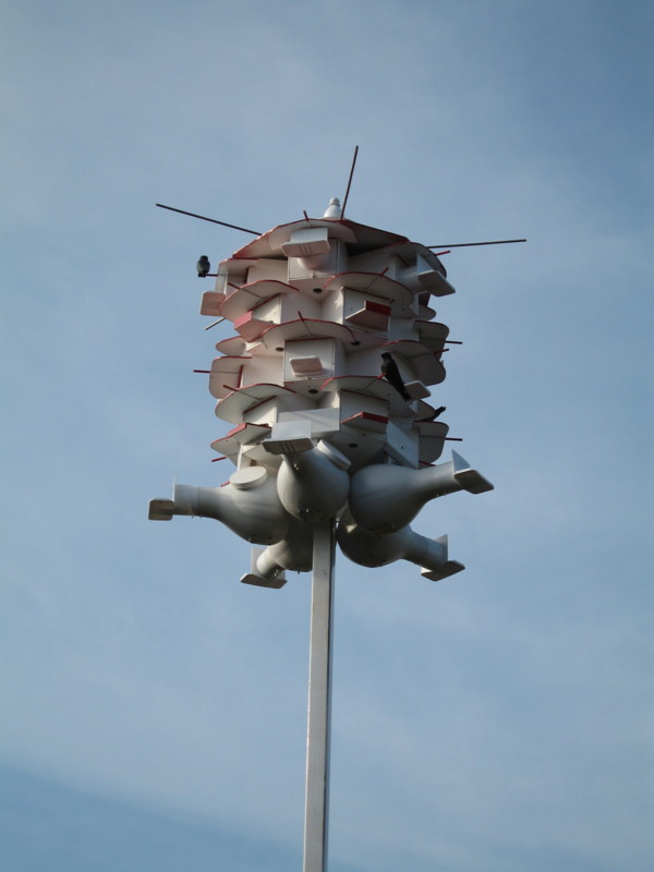 Martinshack7e.JPG