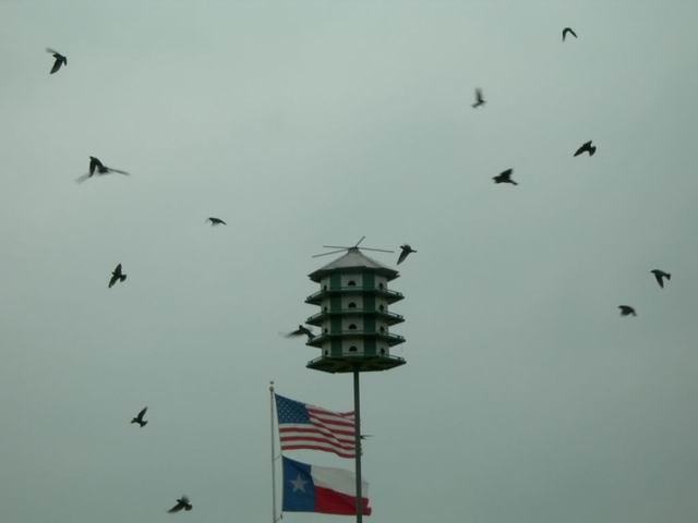 Flag2.jpg
