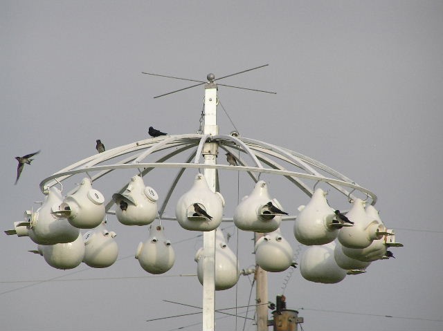 SATELLITE DISH
