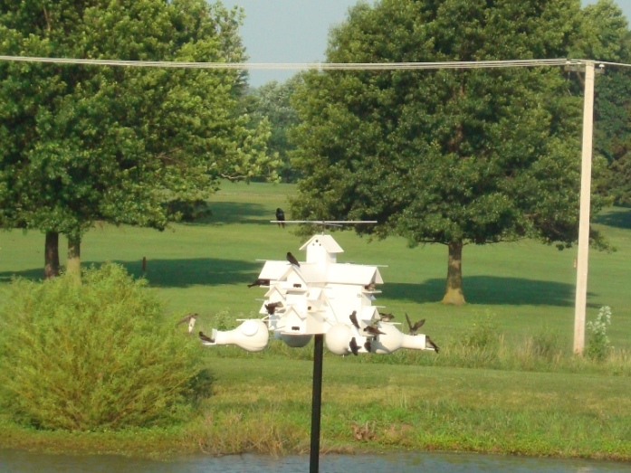 One final shot of house #1. The trees and telephone lines in background are farther away from the houses than they appear in this picture.