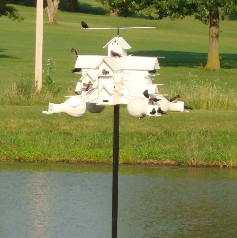 Close-up of house #1