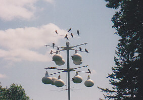 Our housing with some visitors