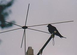 Top perch on pulley assembly