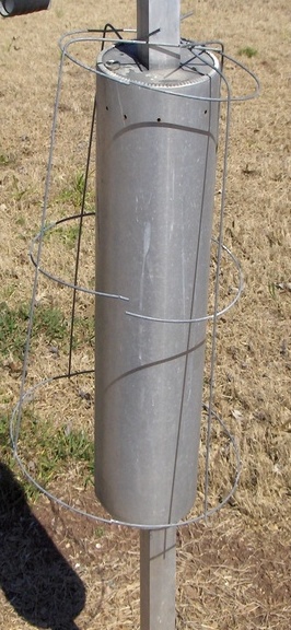 martin pole with cage 003.JPG