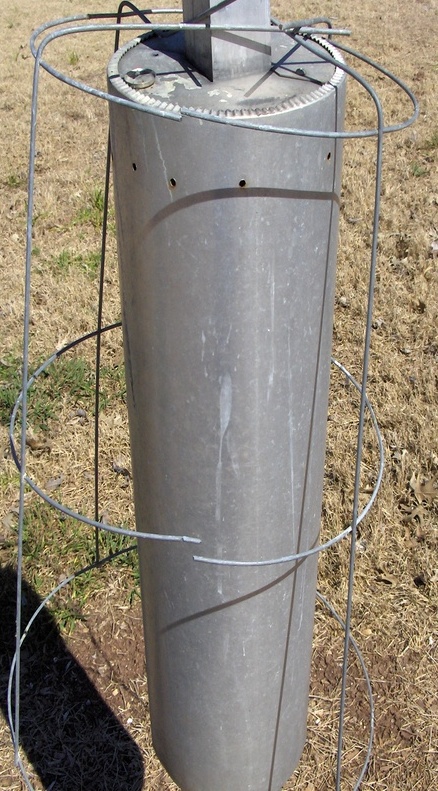 martin pole with cage 002.JPG