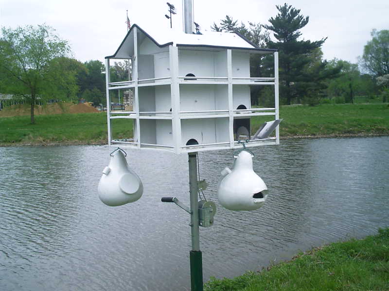trendsetter_house_005.jpg