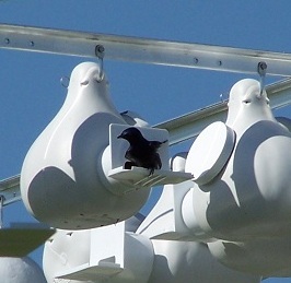 104_2391a.jpg