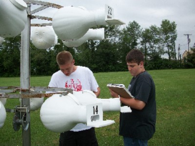 completing nest checks