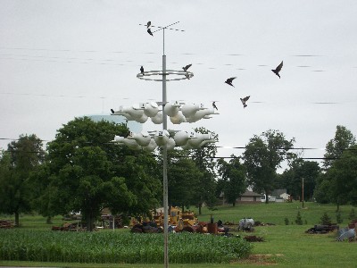 after nest check