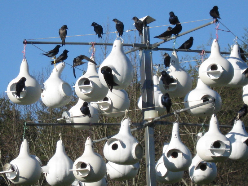 IMG_0025_1.JPG