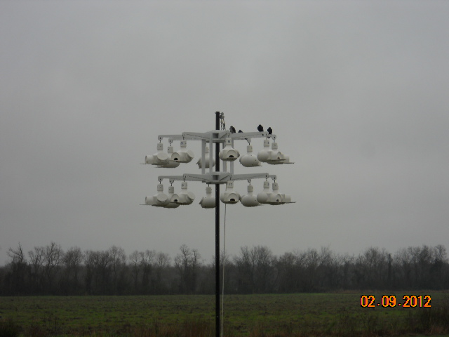 Camera 2-10-12 057.JPG