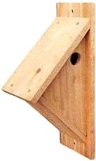 Sidemount small bird house